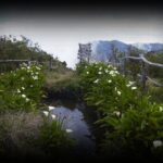 plateau-alcipe-1280x850