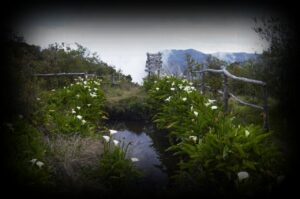 plateau-alcipe-1280x850