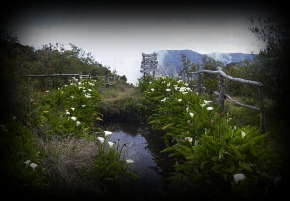 plateau-alcipe-1280x850