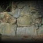 vestiges-alambic-gregoire-1280x850