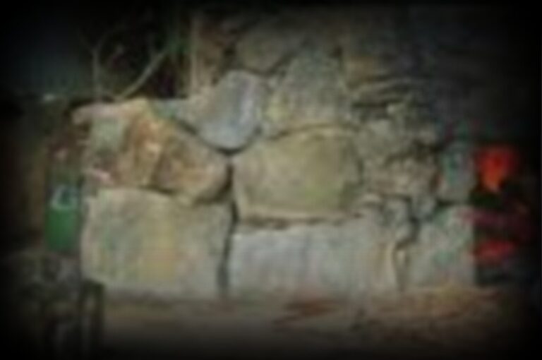 vestiges-alambic-gregoire-1280x850