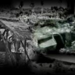 DAmour-Willmann-Gregoire-1280x850