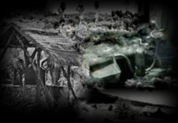 DAmour-Willmann-Gregoire-1280x850