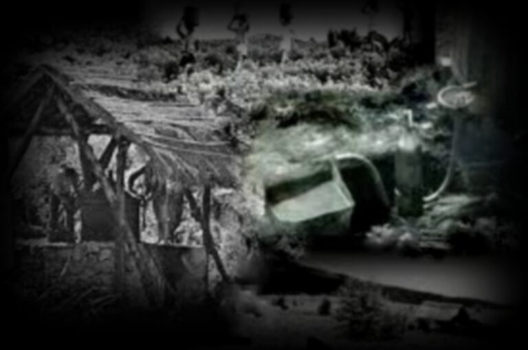 DAmour-Willmann-Gregoire-1280x850