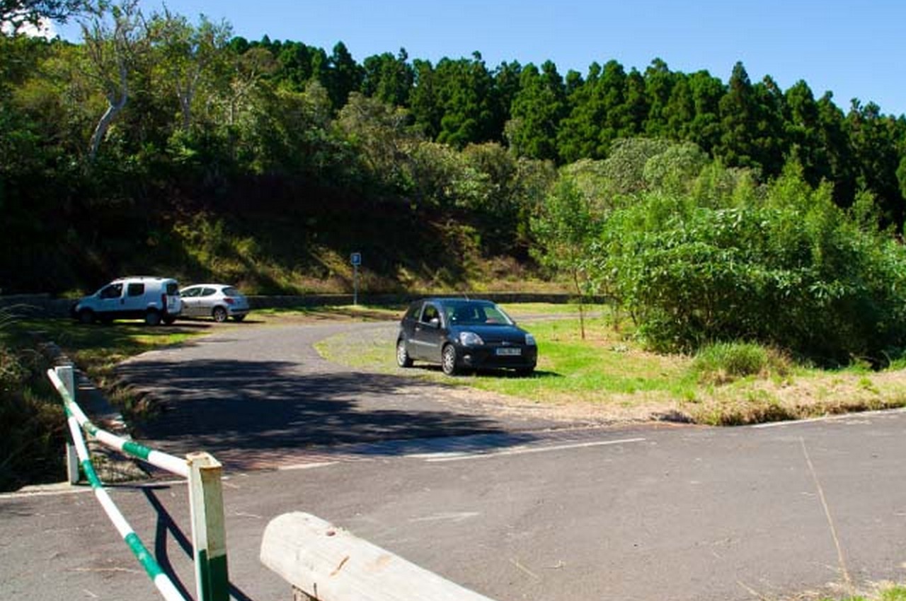 Parking-cryptomeria-1280x850