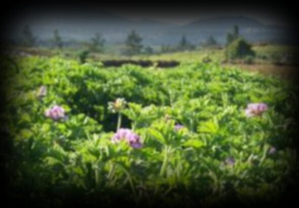 les-echange-des-jeune-planteur-1280x850