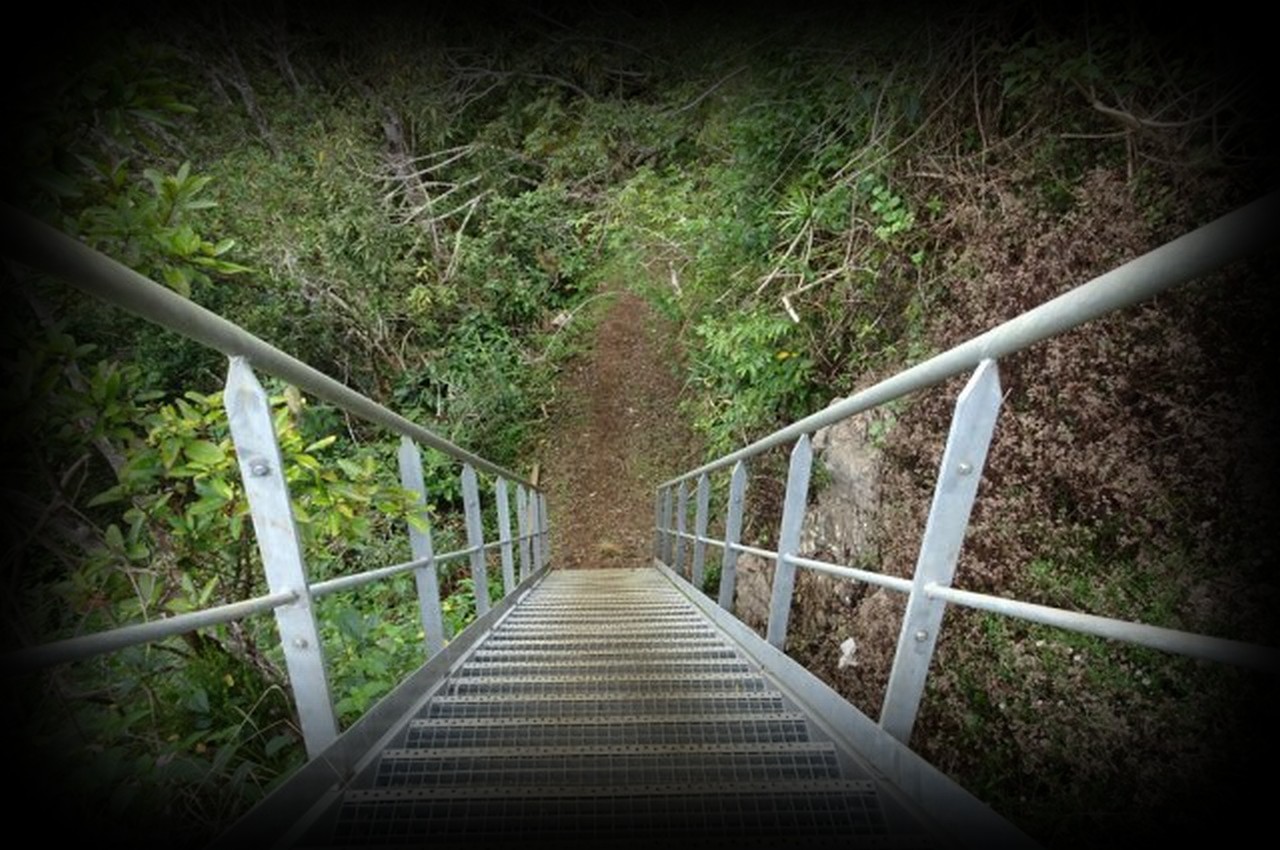 passage-echelle-1280x850